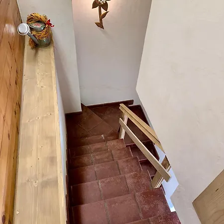 Famiglia De Zolt - Bucaneve Apartman San Pietro di Cadore